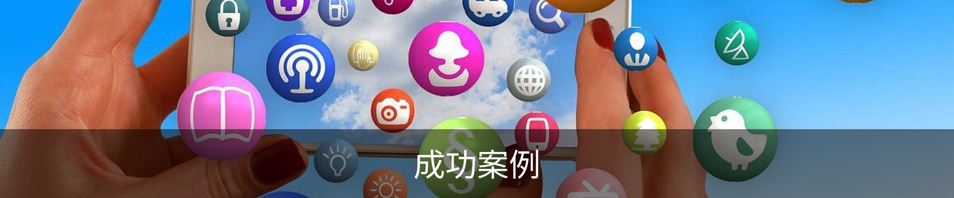 成功案例